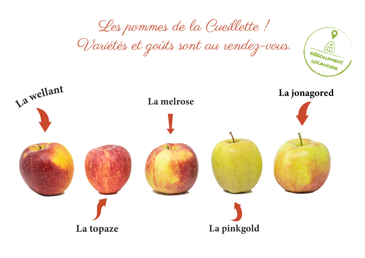 Les pommes de la Cueillette - Le Panier de la Ferme